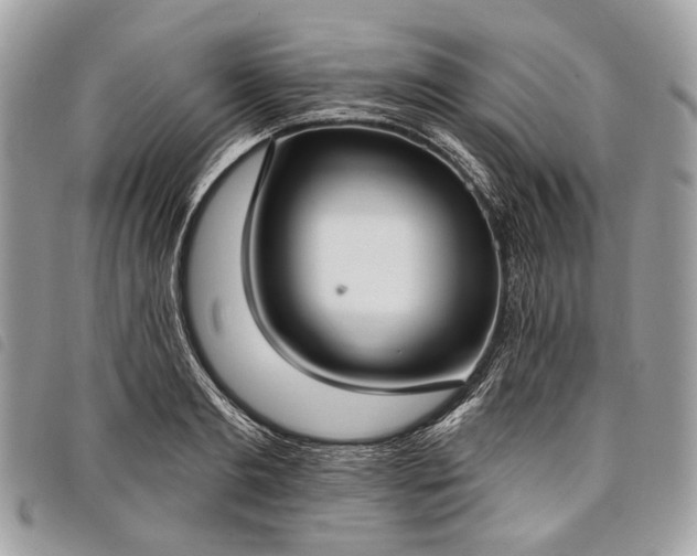 X0000098050893200804071504