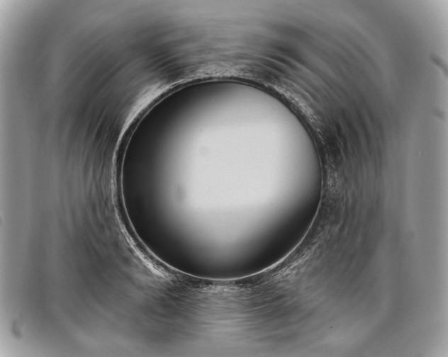 X0000098050894200804071504