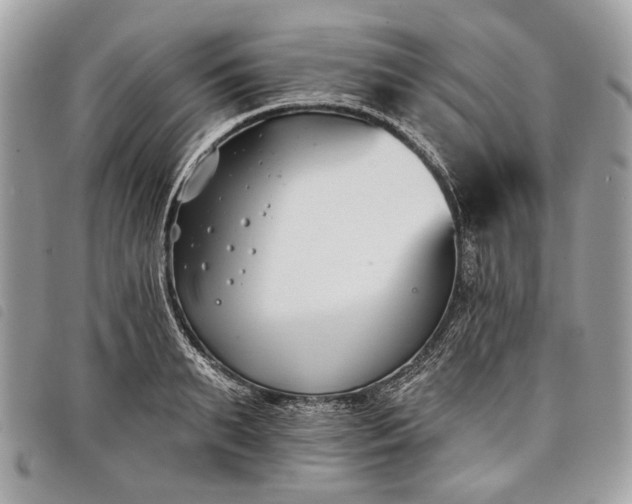 X0000098050895200804071504