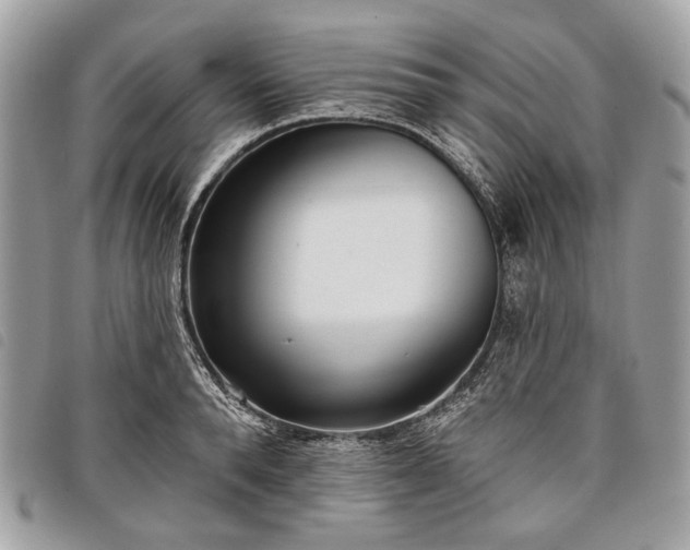 X0000098050896200804071504