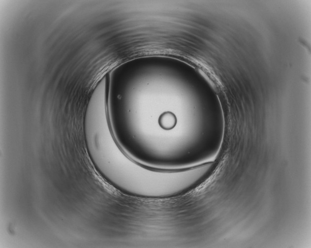 X0000098050897200804071504