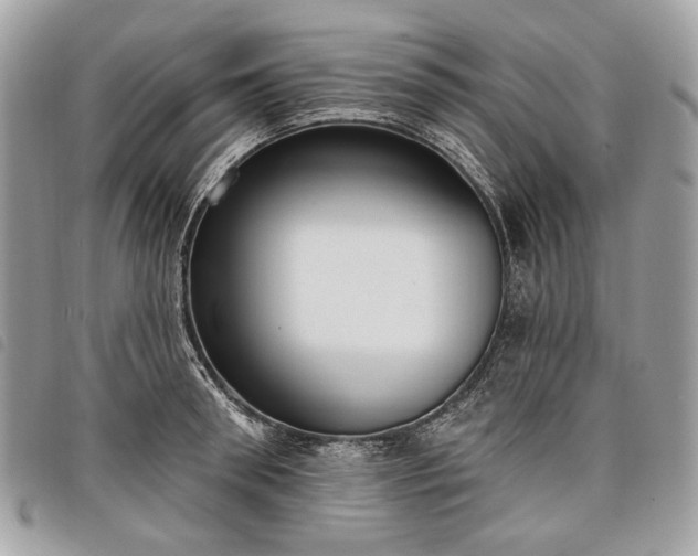 X0000098050898200804071504