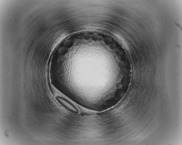 X0000098050899200804071504