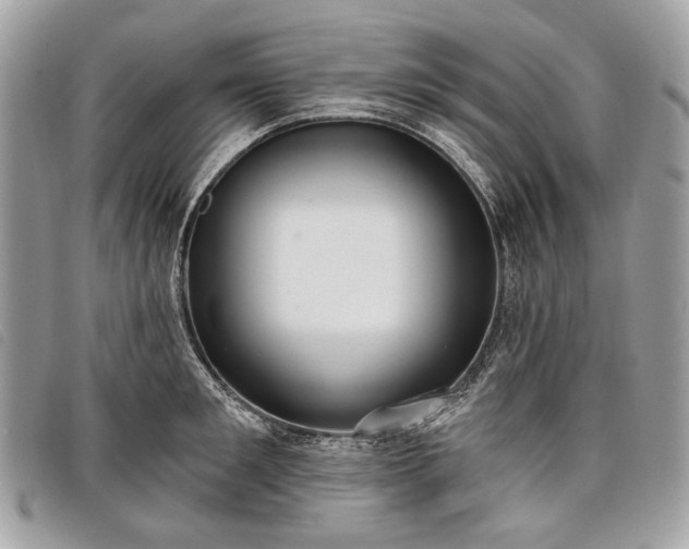 X0000098050901200804071504