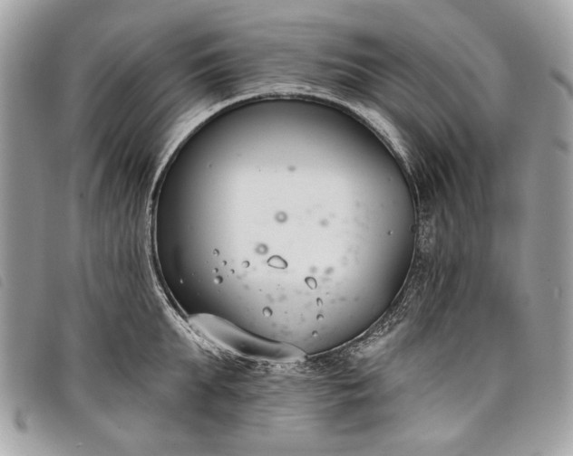 X0000098050903200804071504