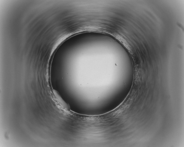 X0000098050904200804071504