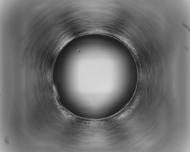 X0000098050905200804071504