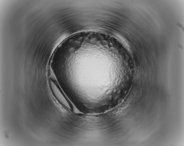 X0000098050907200804071504