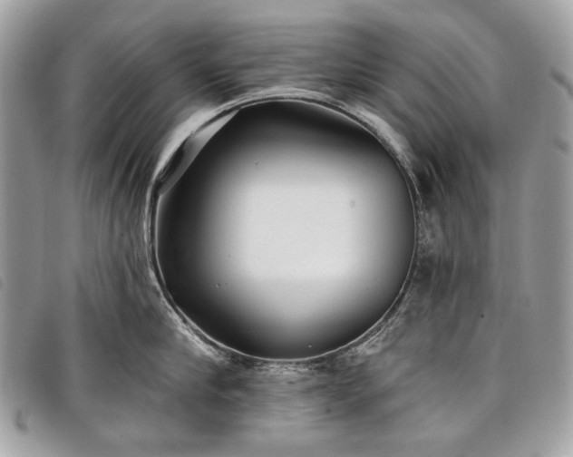 X0000098050910200804071504