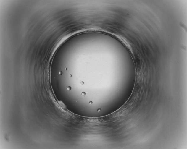 X0000098050911200804071504