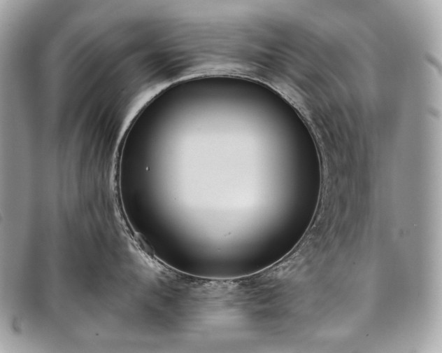 X0000098050912200804071504