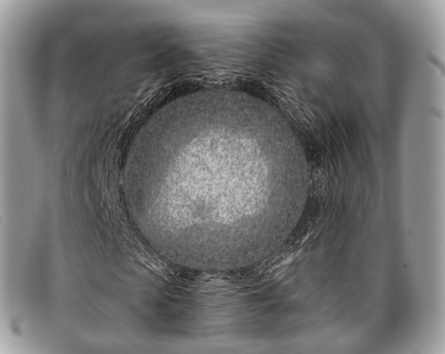 X0000098050913200804071503