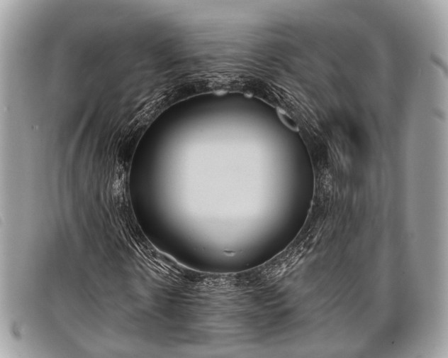 X0000098050914200804071503