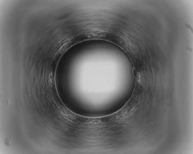 X0000098050915200804071503