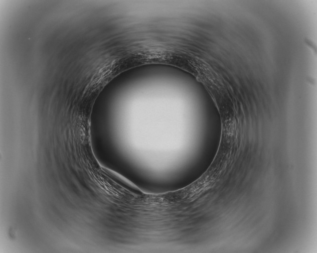 X0000098050916200804071503