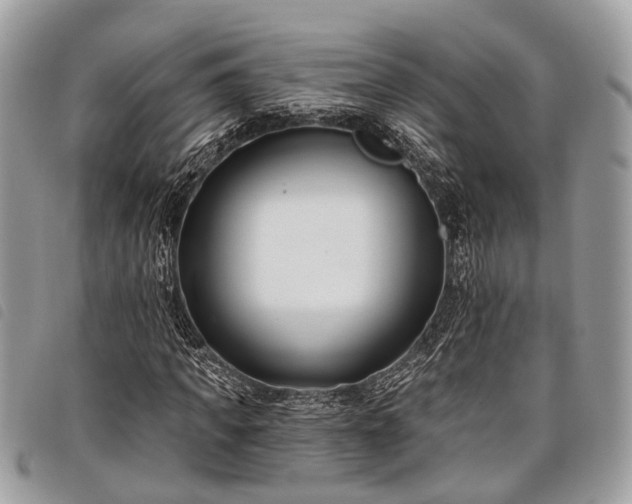 X0000098050917200804071503