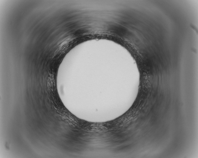 X0000098050918200804071503