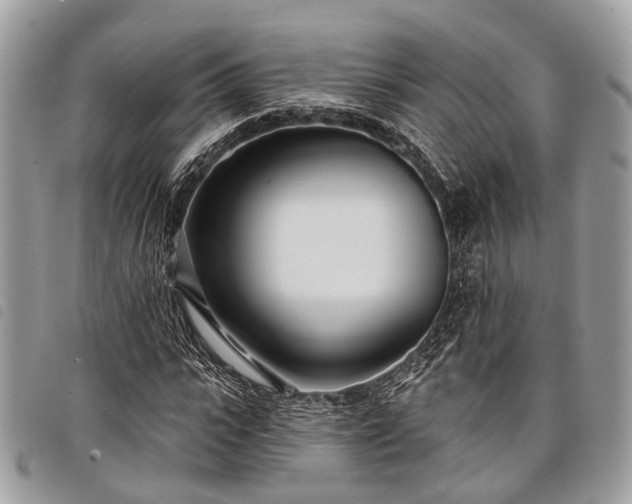 X0000098050919200804071503