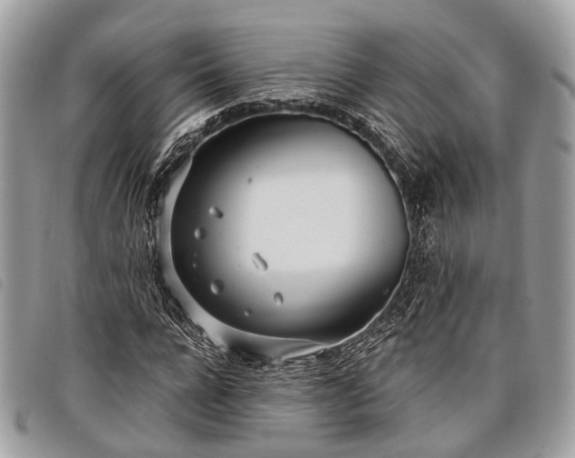 X0000098050920200804071503