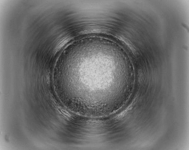 X0000098050921200804071503