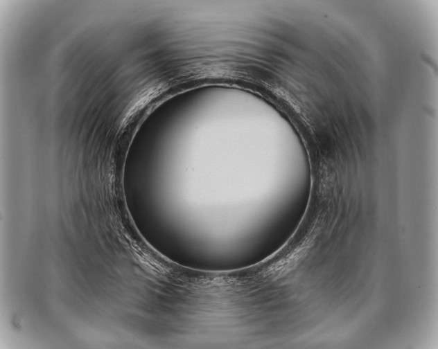 X0000098050922200804071503