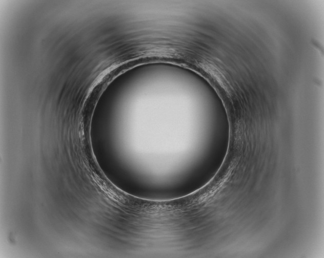 X0000098050923200804071503