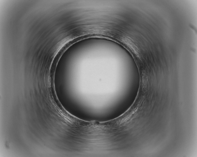 X0000098050924200804071503