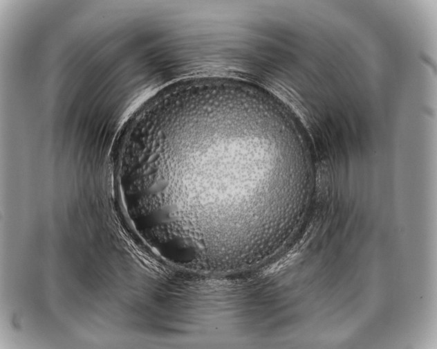 X0000098050925200804071503