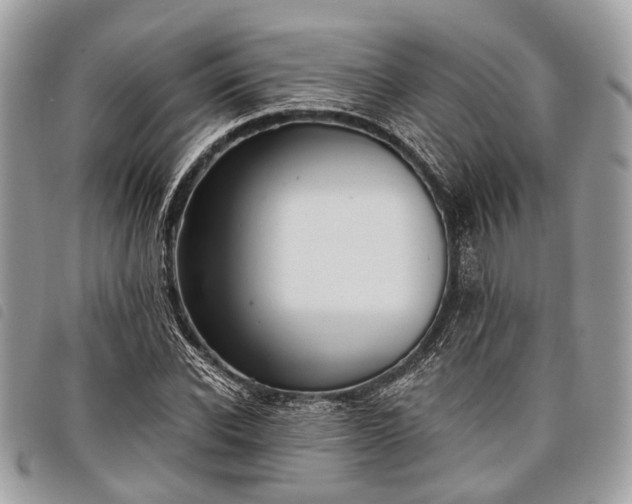 X0000098050926200804071503