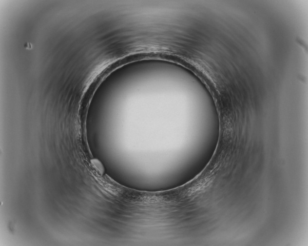 X0000098050927200804071503