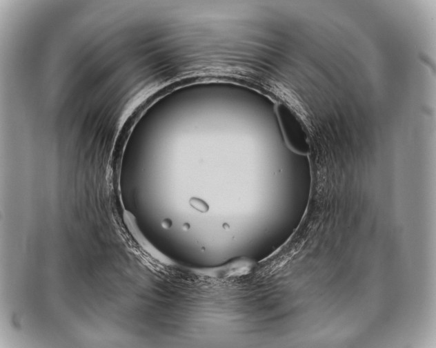 X0000098050928200804071503