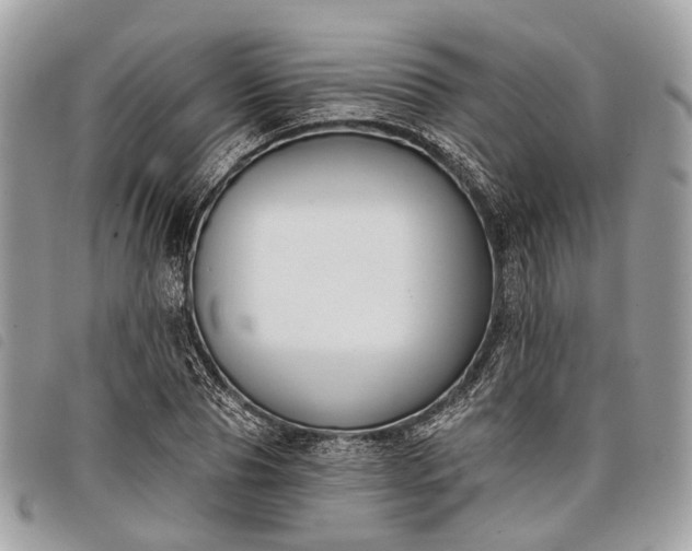 X0000098050929200804071503