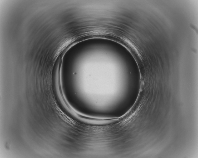 X0000098050930200804071503