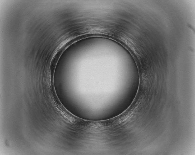 X0000098050931200804071503