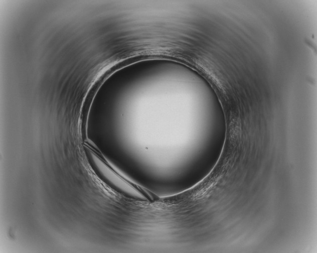 X0000098050932200804071503