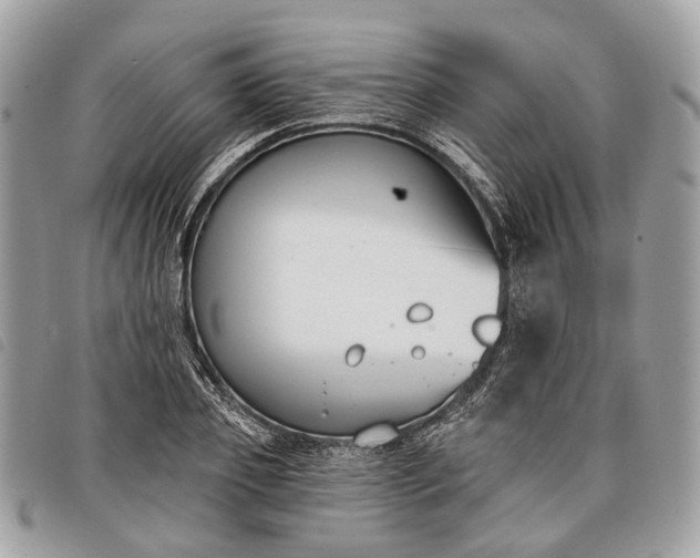 X0000098050933200804071503