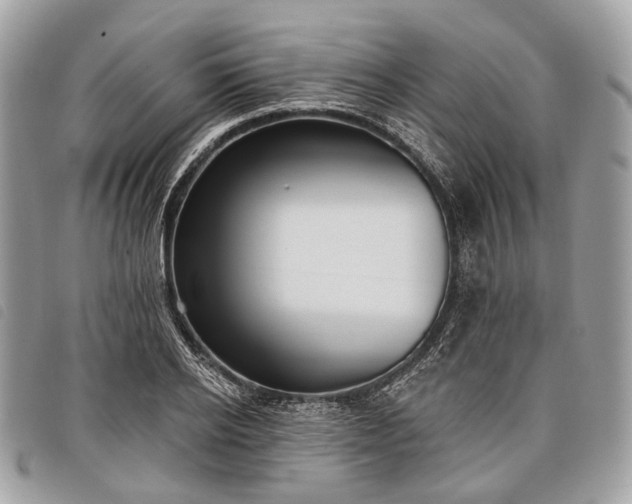 X0000098050934200804071503