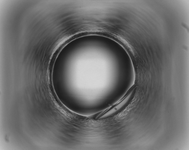 X0000098050935200804071503