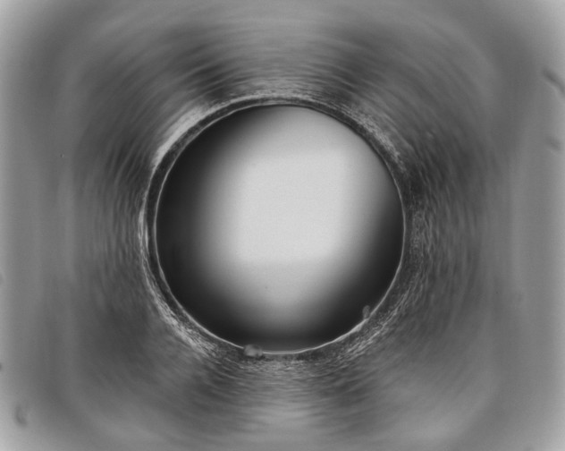 X0000098050936200804071503