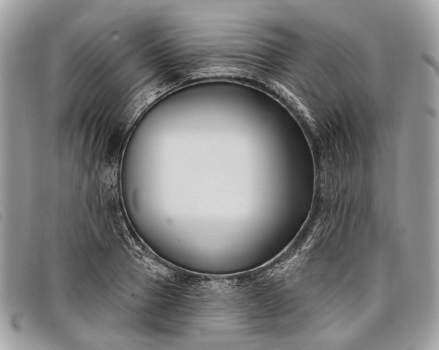 X0000098050937200804071503