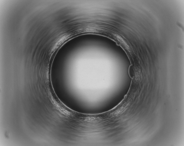 X0000098050938200804071503