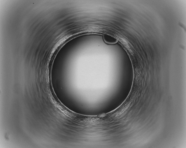 X0000098050939200804071503