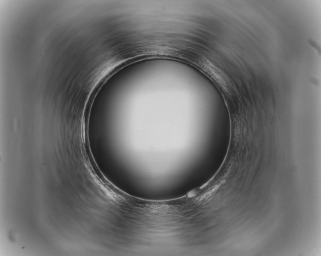 X0000098050940200804071503