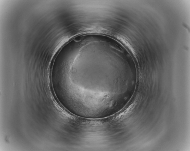 X0000098050941200804071503