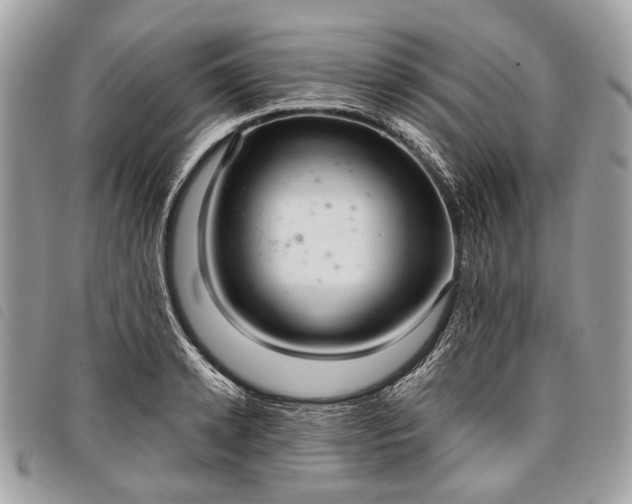 X0000098050942200804071503