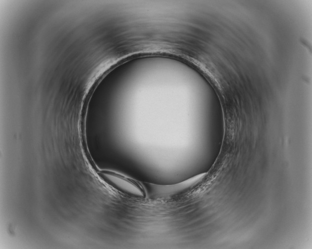 X0000098050943200804071503