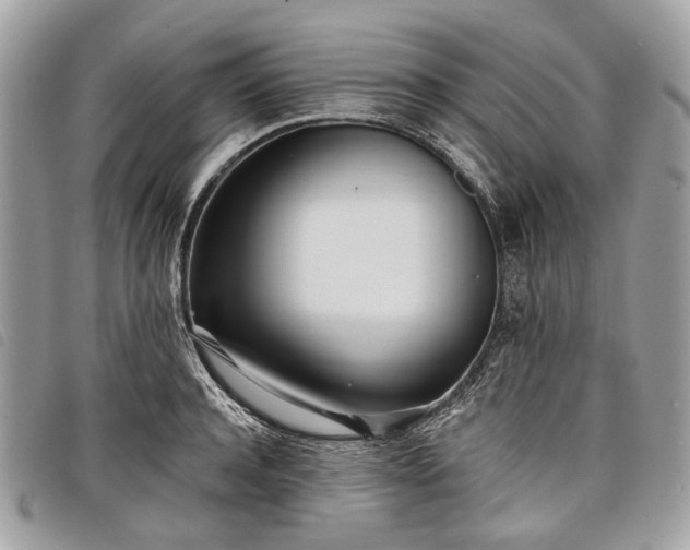 X0000098050944200804071503