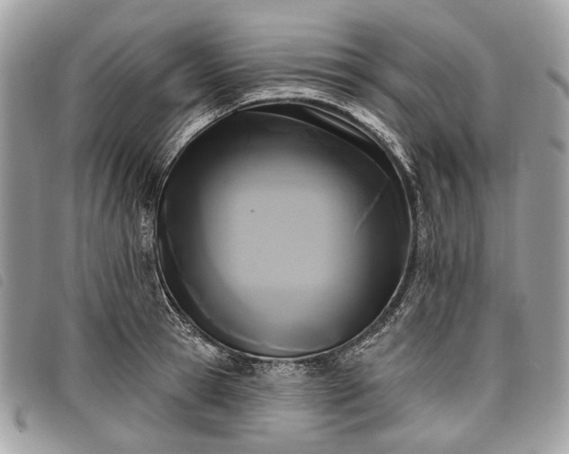 X0000098050945200804071503