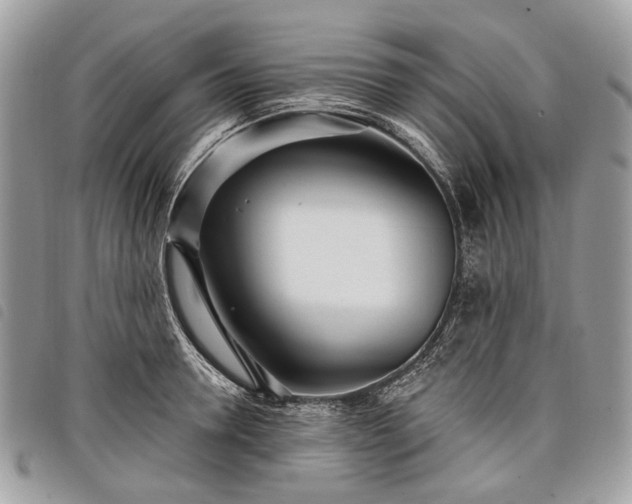 X0000098050946200804071503