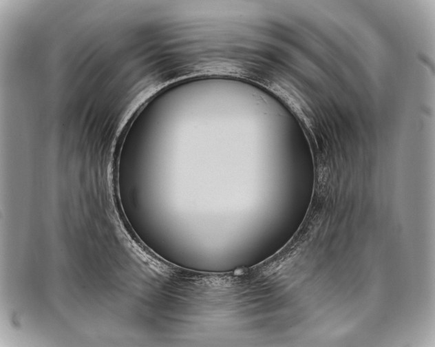 X0000098050947200804071503